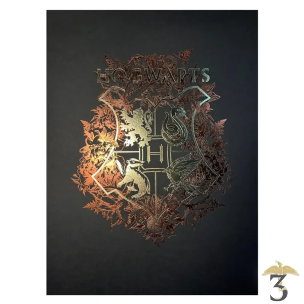 Affiche deluxe letterpress arteonn / wizarding world – poudlard 30×40 - Les Trois Reliques, magasin Harry Potter - Photo N°3