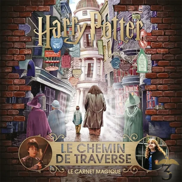 Carnet Magique - Le Chemin de Traverse - Les Trois Reliques, magasin Harry Potter - Photo N°1