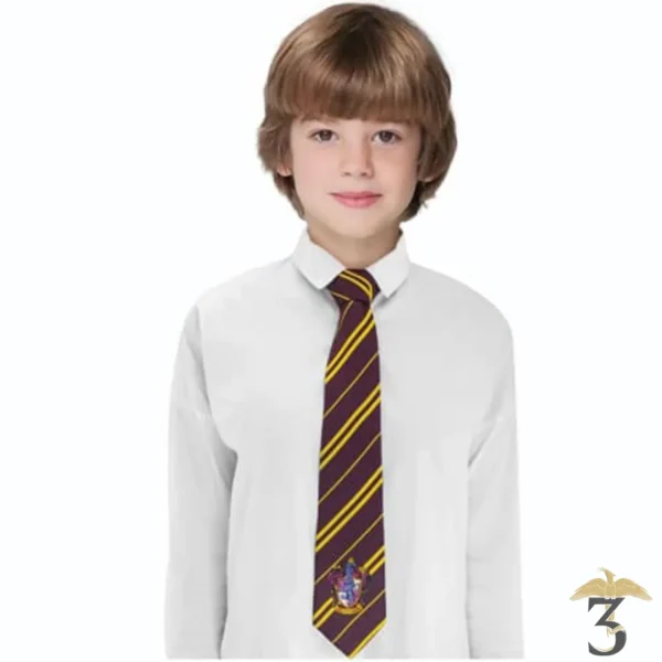 Cravate deguisement kids gryffondor - Les Trois Reliques, magasin Harry Potter - Photo N°2