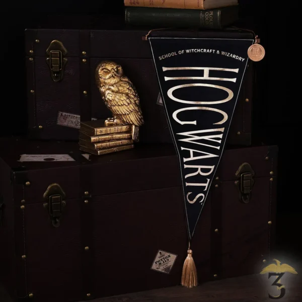 Drapeaux des 4 maisons de Poudlard - Harry Potter - Wingardium Leviosa
