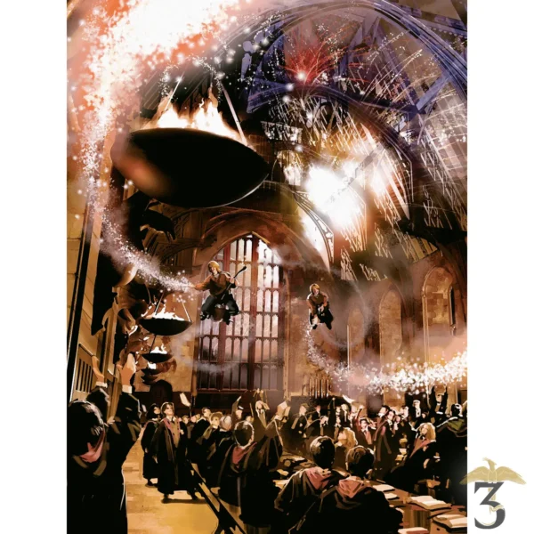 Harry Potter, Construire le monde magique - Les Trois Reliques, magasin Harry Potter - Photo N°5