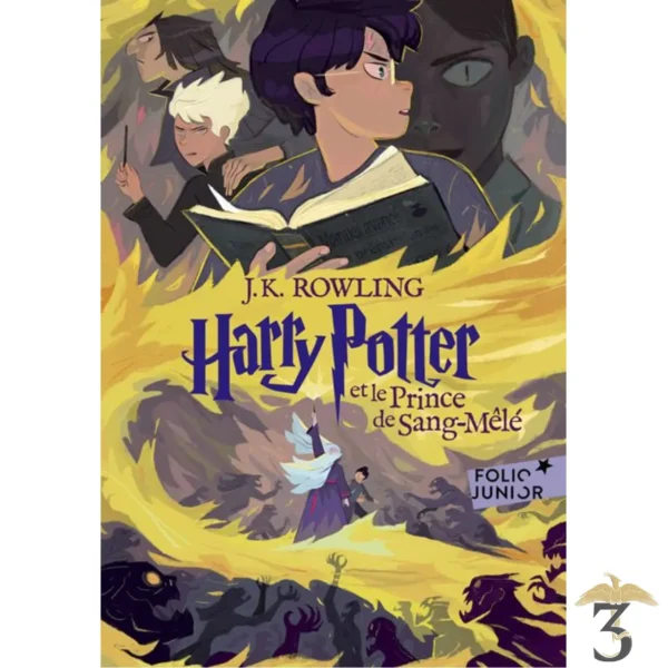 Harry potter et le prince de sang-mele (de poche) - Les Trois Reliques, magasin Harry Potter - Photo N°1