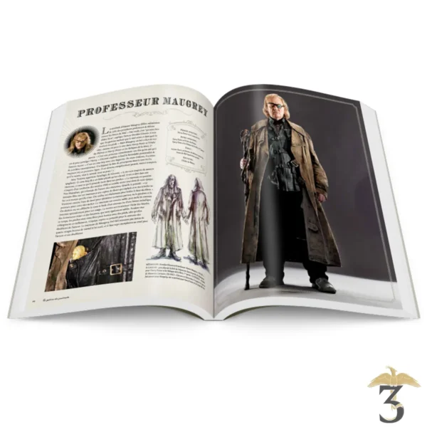 Harry Potter - La Galerie des Portraits - Les Trois Reliques, magasin Harry Potter - Photo N°4