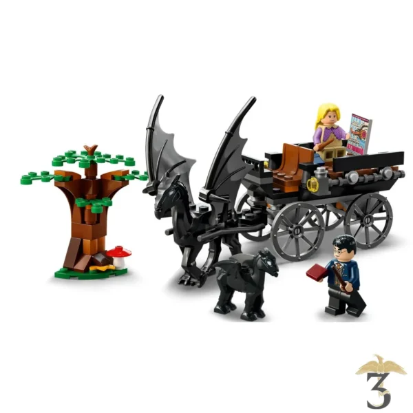 LEGO® La Diligence et les Sombrals de Poudlard #76400 - Harry Potter - Les Trois Reliques, magasin Harry Potter - Photo N°2