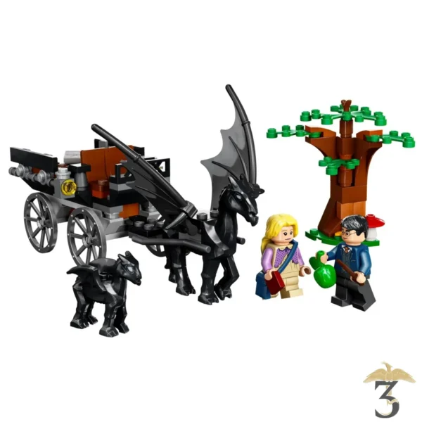 LEGO® La Diligence et les Sombrals de Poudlard #76400 - Harry Potter - Les Trois Reliques, magasin Harry Potter - Photo N°8