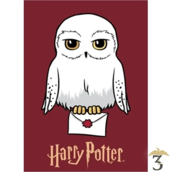 Plaid polaire hedwige - Les Trois Reliques, magasin Harry Potter - Photo N°1