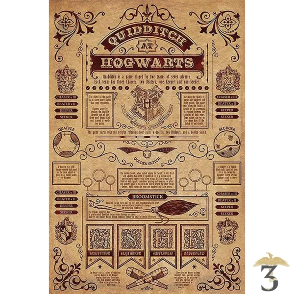 Poster quidditch at hogwarts 61×91 - Les Trois Reliques, magasin Harry Potter - Photo N°1