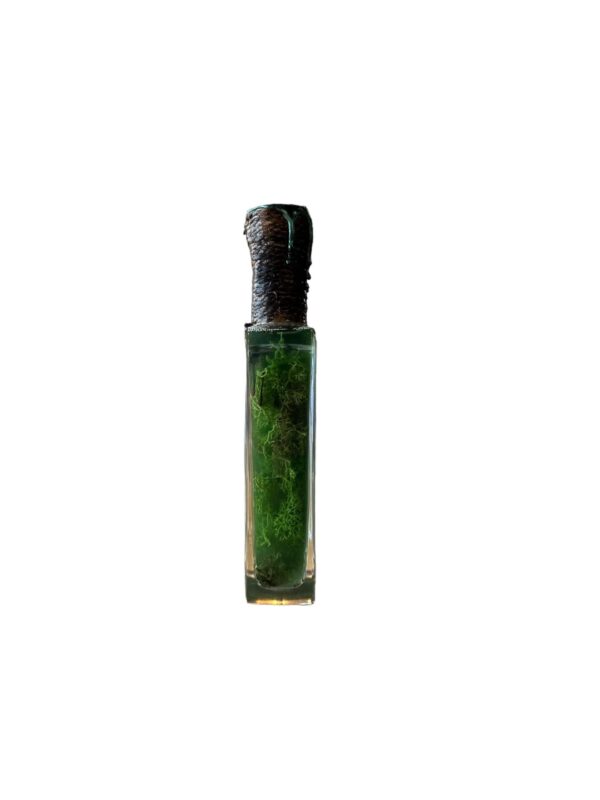 Potion extrait de branchiflore chez les 3 reliques Boutique Harry potter