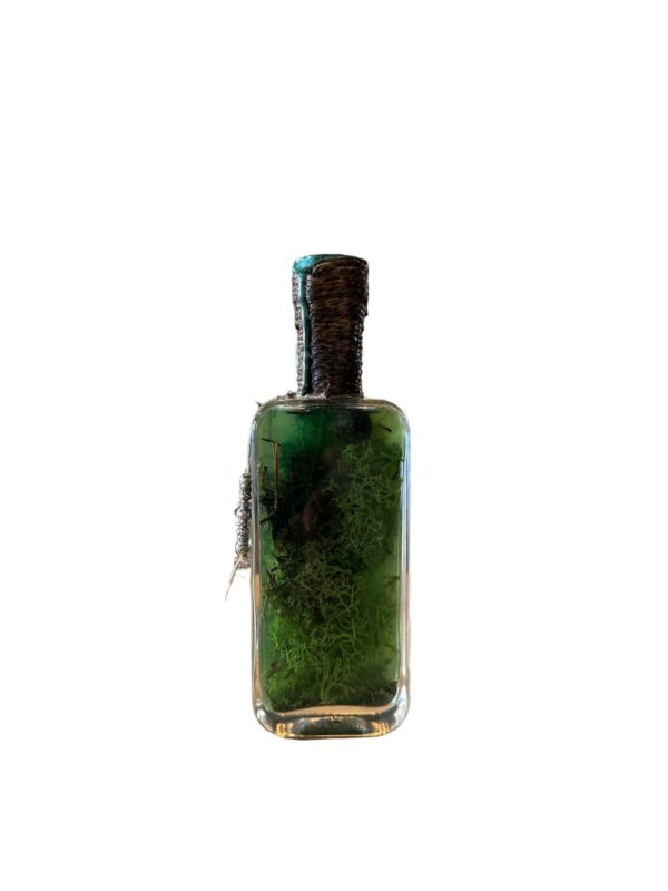 Potion extrait de branchiflore chez les 3 reliques Boutique Harry potter