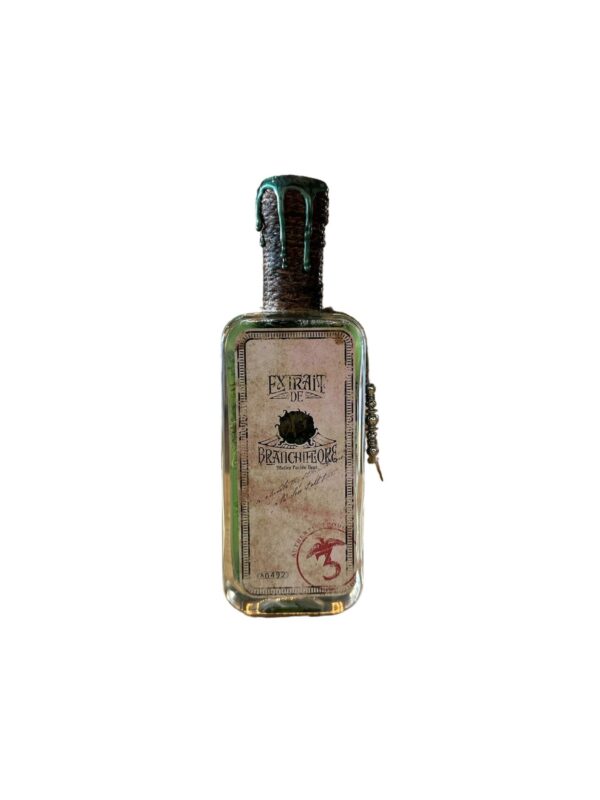 Potion extrait de branchiflore chez les 3 reliques Boutique Harry potter