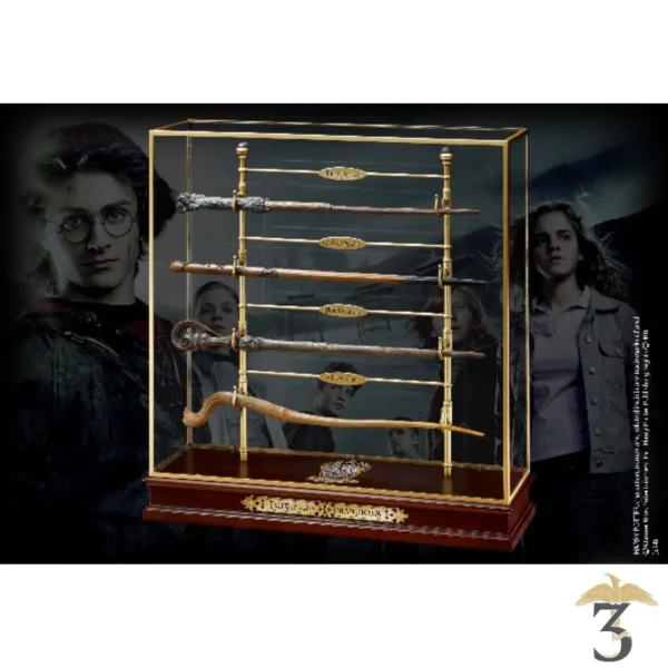 Présentoir baguettes Tournoi des Trois Sorciers - Harry Potter - 3 Reliques Harry  Potter
